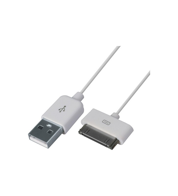 4XEM 3FT USB2 TO 30PIN CABLE