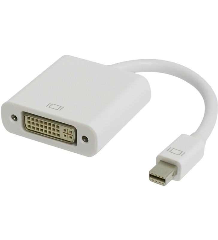 4XEM 8IN MINI DISPLAYPORT MALE TO DVI FEMALE