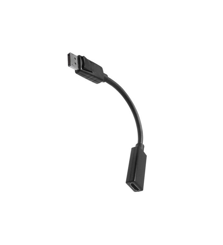 4XEM 10IN DISPLAYPORT MALE TO HDMI FEMALE