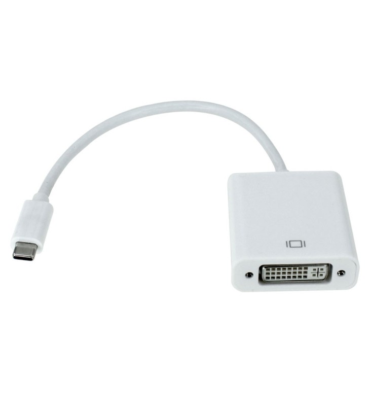 4XEM USB TYPEC TO DVI ADAPTER