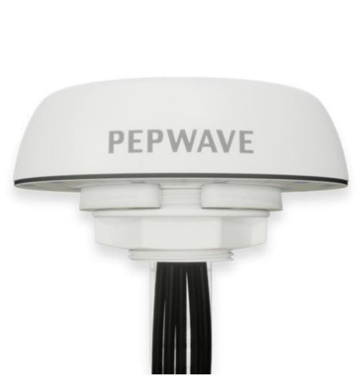 Peplink 2x2 MIMO WIFI ANT-MB-02-R-W-6