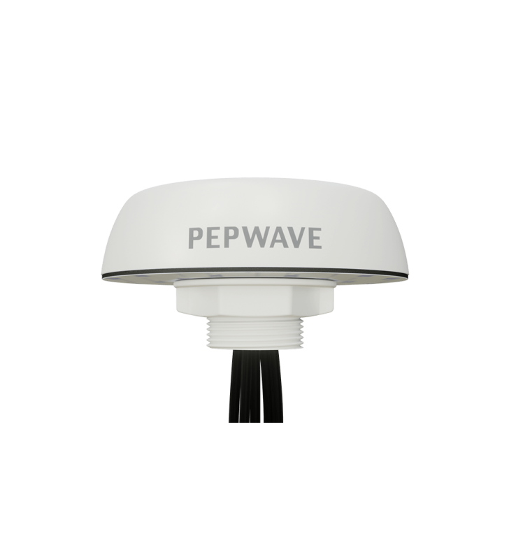 Peplink 22G ANT-MB-22G-Q-W-1